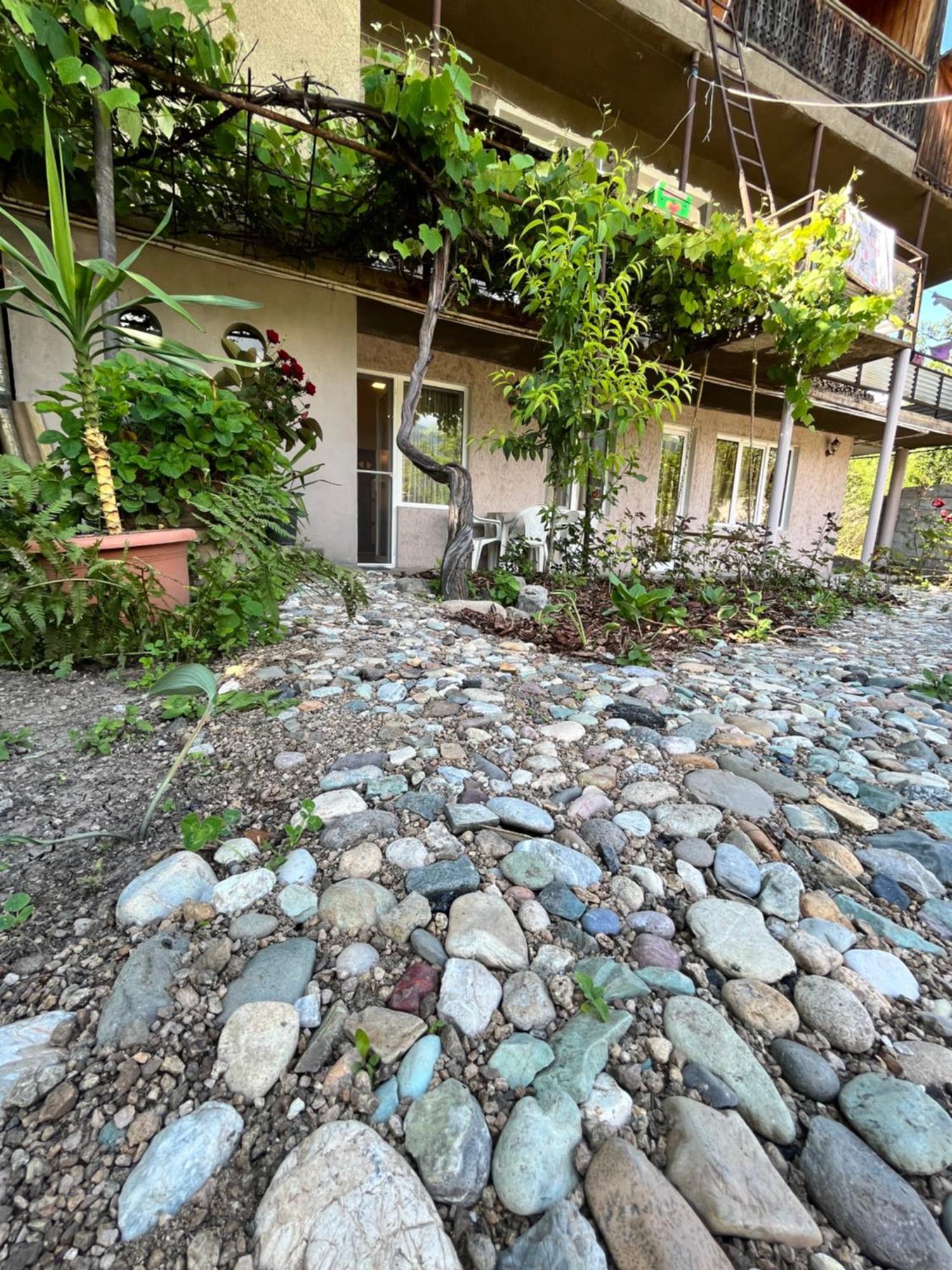 Green Park Guest House ดีลีจาน ภายนอก รูปภาพ